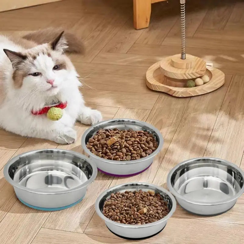 Stainless Steel Pet Bowl with Non-Slip Base - Heavy Duty Dog/Cat up to 40lbs