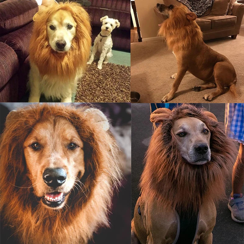 Cute Lion Mane Dog Wig Costume