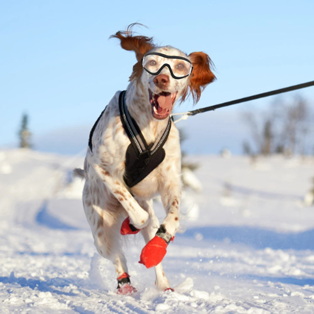 Pet Goggles UV-proof Waterproof Wind-proof And Fog-proof