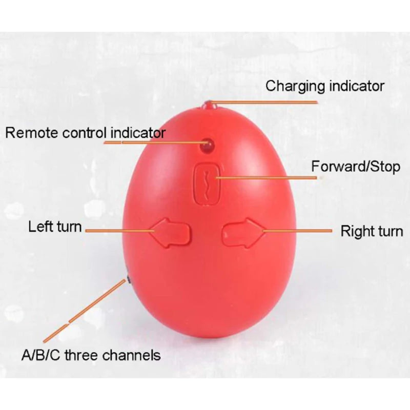 Funny Electronic Pet Remote Control Simulation Giant Centipede