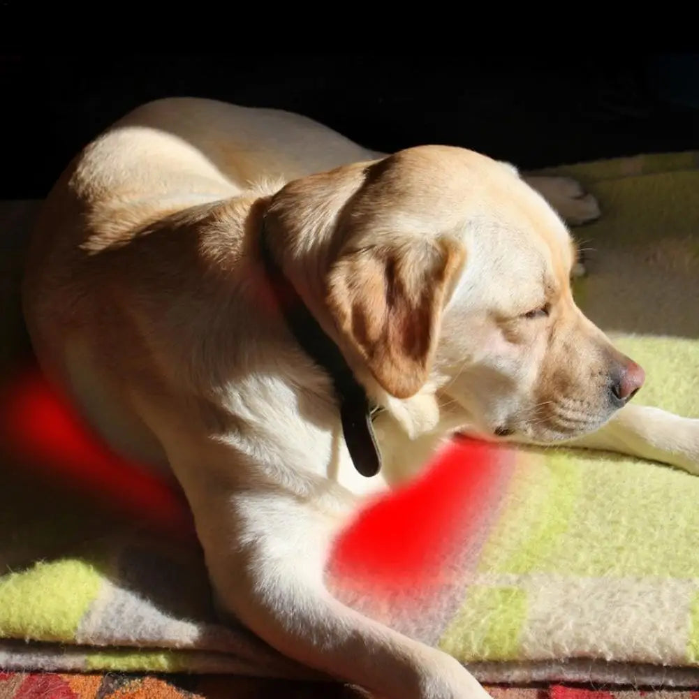 Pet Heating Pad Electric USB For Dogs And Cats Indoor For Pet Nests Pet Pads