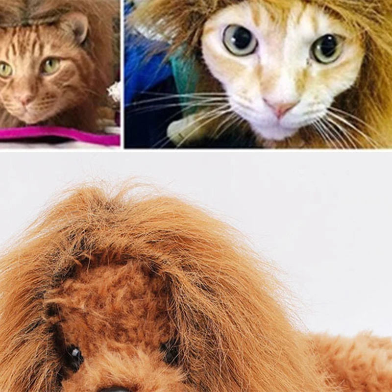 Cute Lion Mane Dog Wig Costume