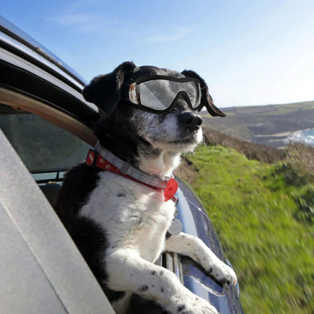 Pet Goggles UV-proof Waterproof Wind-proof And Fog-proof