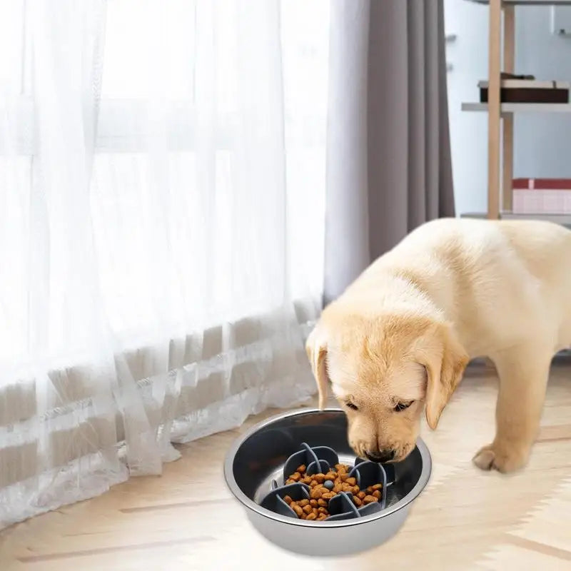 Silicone Dog Slow Feeder Bowl Large Breed