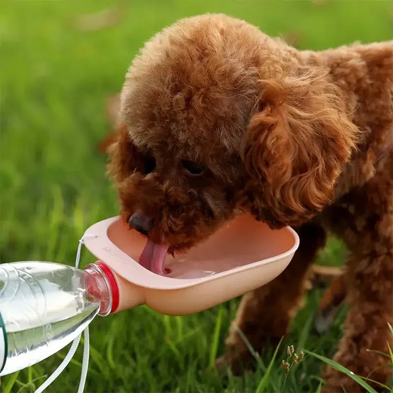 Travel Water Bowl Bottle and Feeder