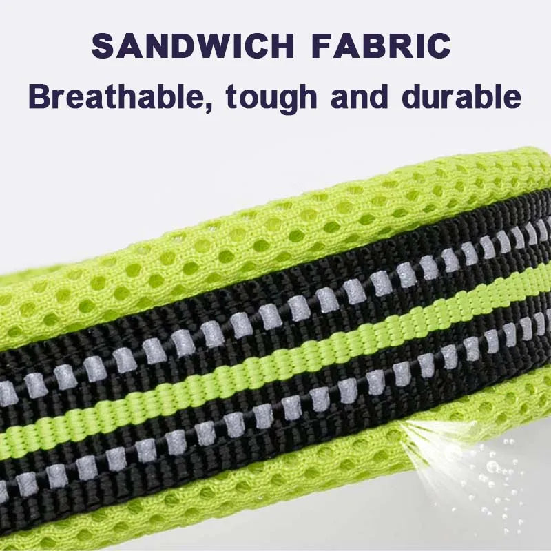 Dog Walking Collar, Padded with Buckle