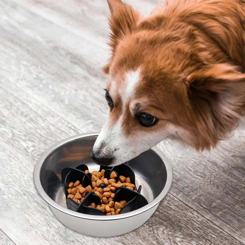 Silicone Dog Slow Feeder Bowl Large Breed