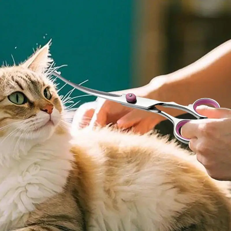Curved Dog Grooming Hair Scissors Safety Pet Tool With Round Tips Professional Grooming