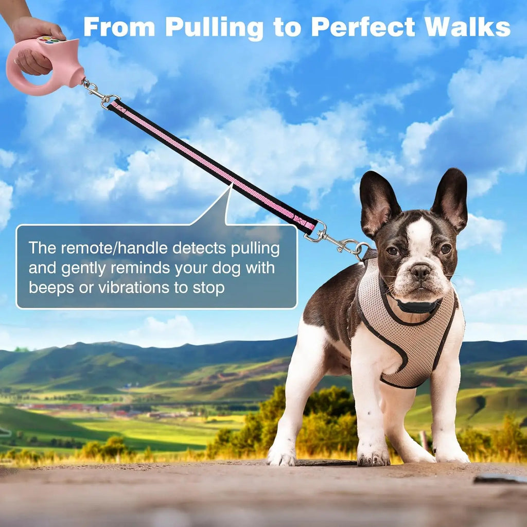 Dog Shock Collar & No-Pull Leash Set, Waterproof, 1600ft Range, Remote Recall