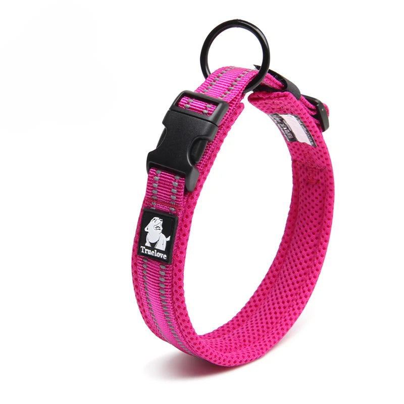 Dog Walking Collar, Padded with Buckle