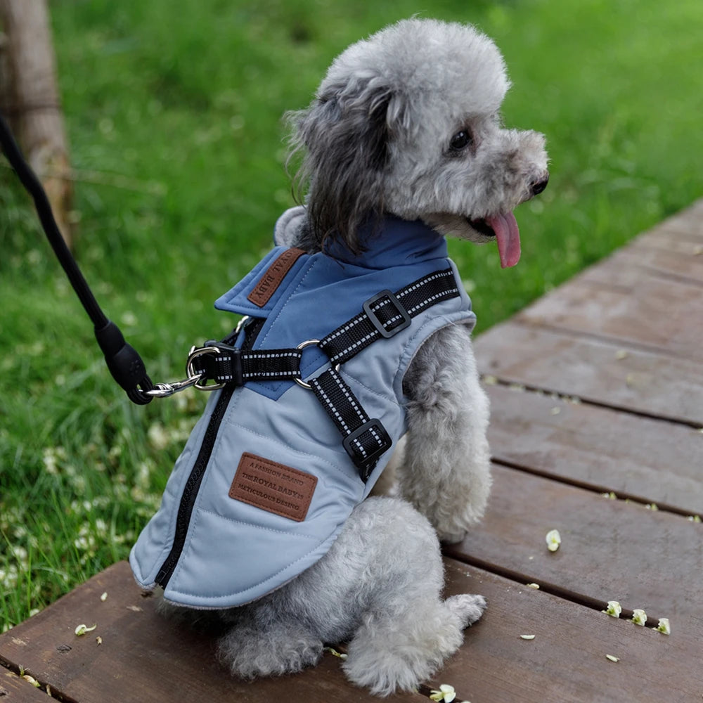 Pet Dog Jacket With Harness Waterproof