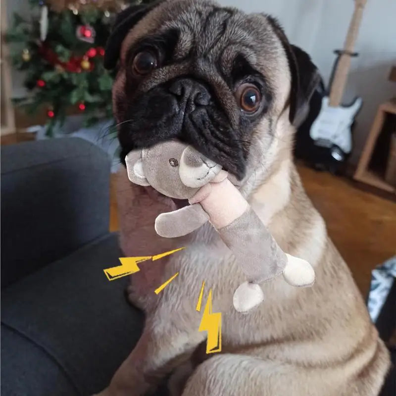 Pet Dog Toy Squeak Plush Toy Durable