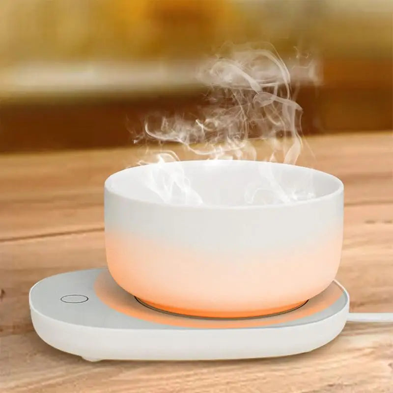 Dog Heating Water Bowl  Food Heater With Low Noise