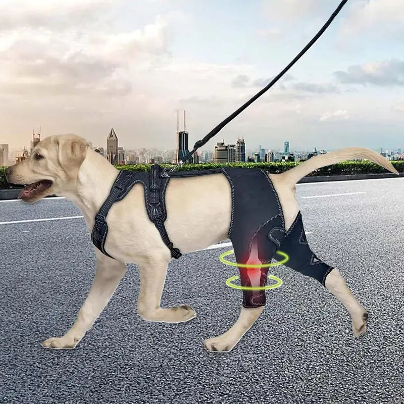 Orthopedic Brace For Dogs Hip Hock Support Adjustable Leg Support