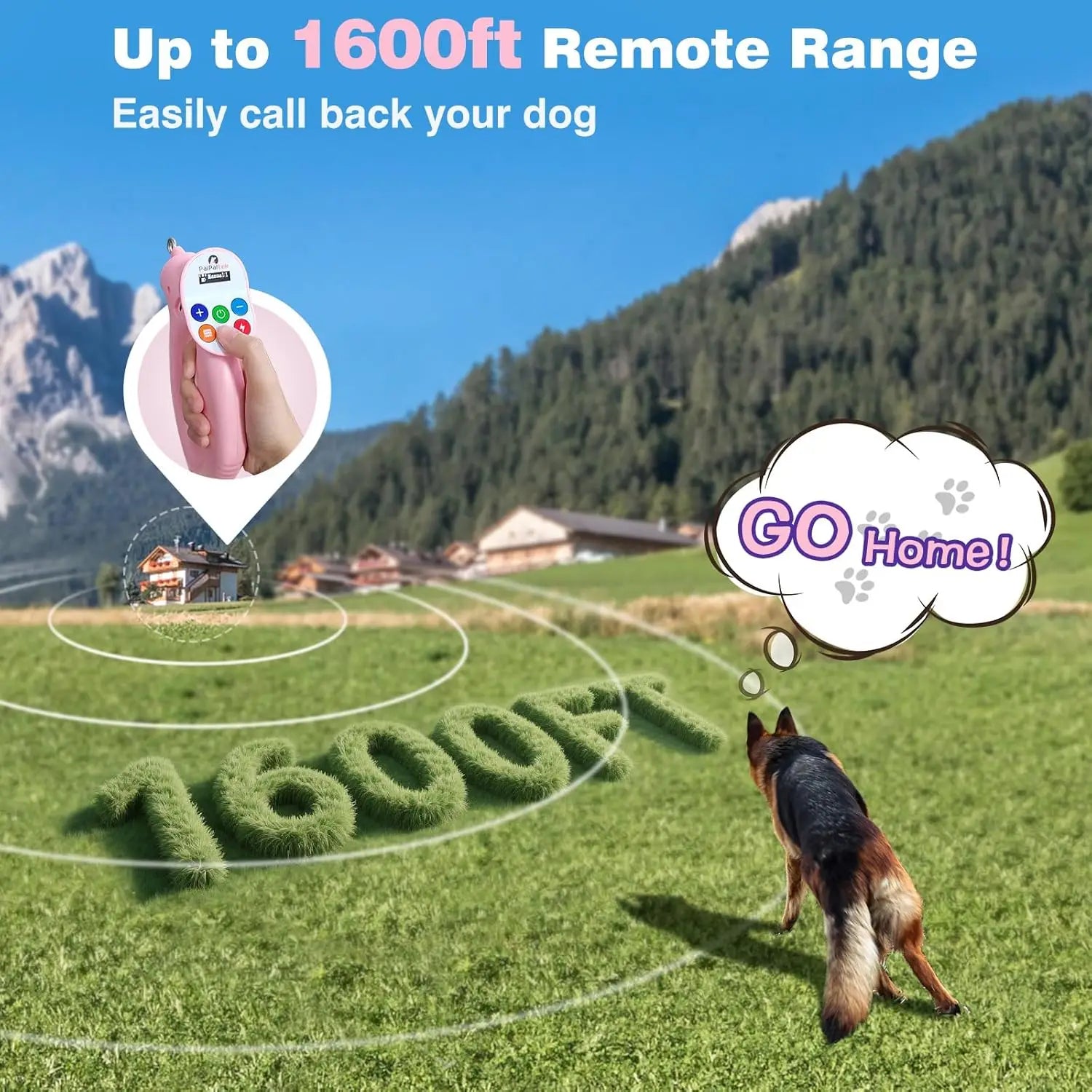 Dog Shock Collar & No-Pull Leash Set, Waterproof, 1600ft Range, Remote Recall