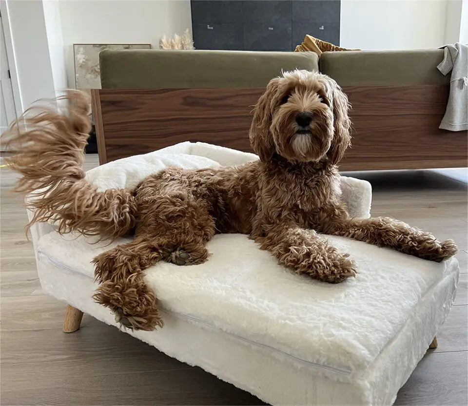 Luxury Elevated Dog Sofa Bed with Backrest Plush Cushion Wooden Legs