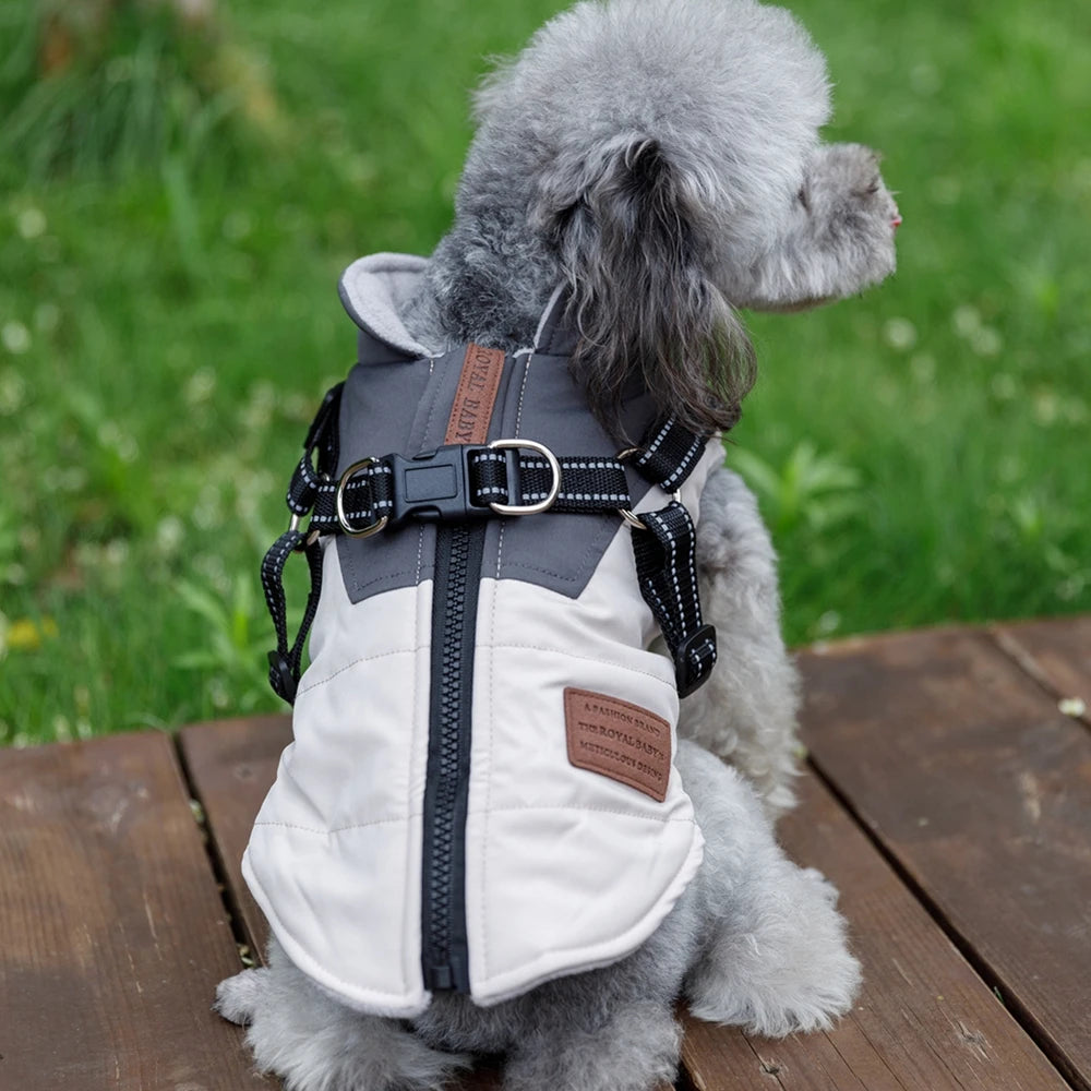 Pet Dog Jacket With Harness Waterproof