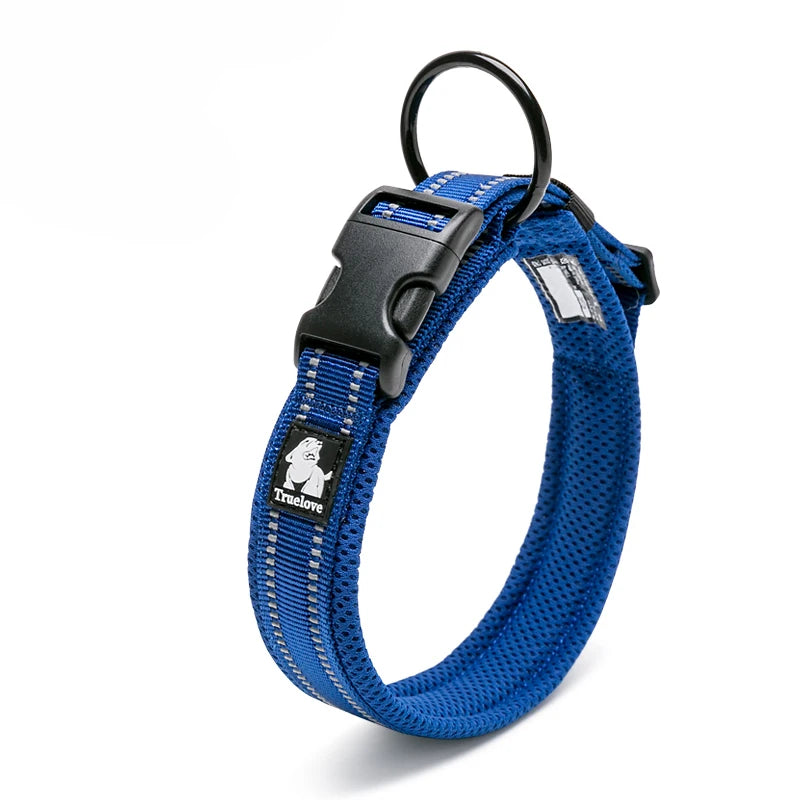 Dog Walking Collar, Padded with Buckle