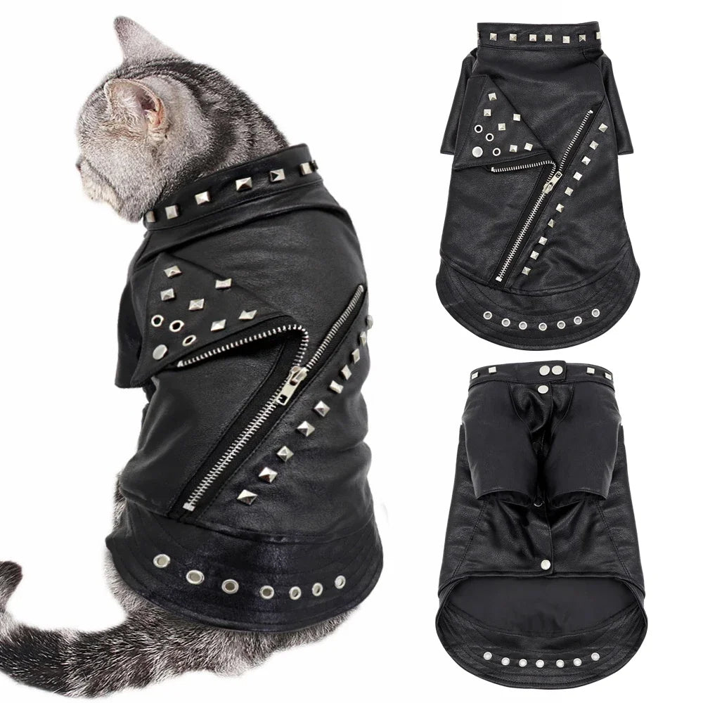 Leather Cat Jacket Warm also for for Chihuahua Yorkshire