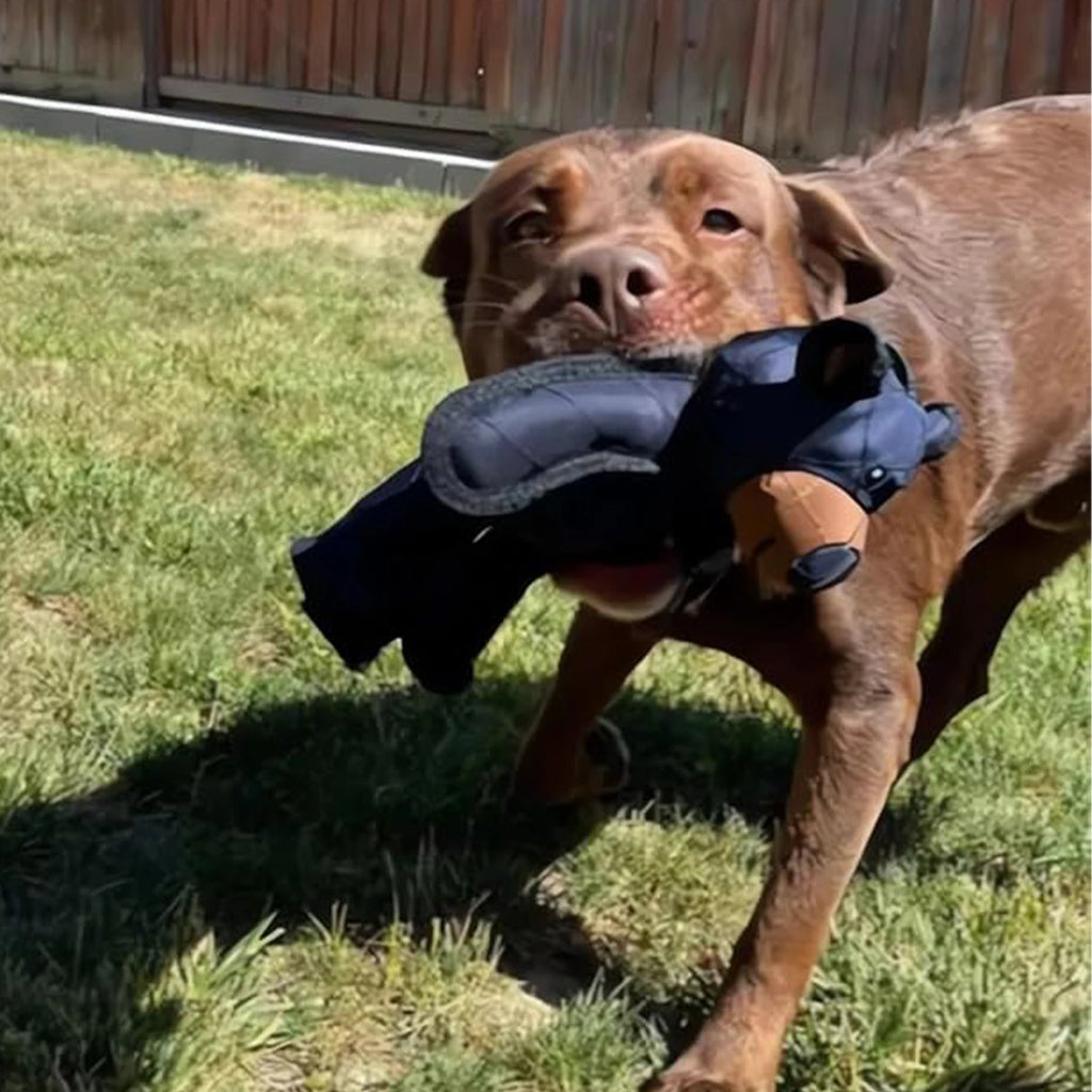 Squeaky Plush Bear Toy for Dog Unbreakable