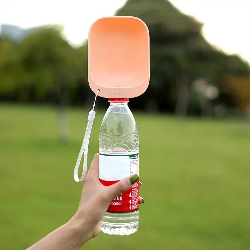 Travel Water Bowl Bottle and Feeder