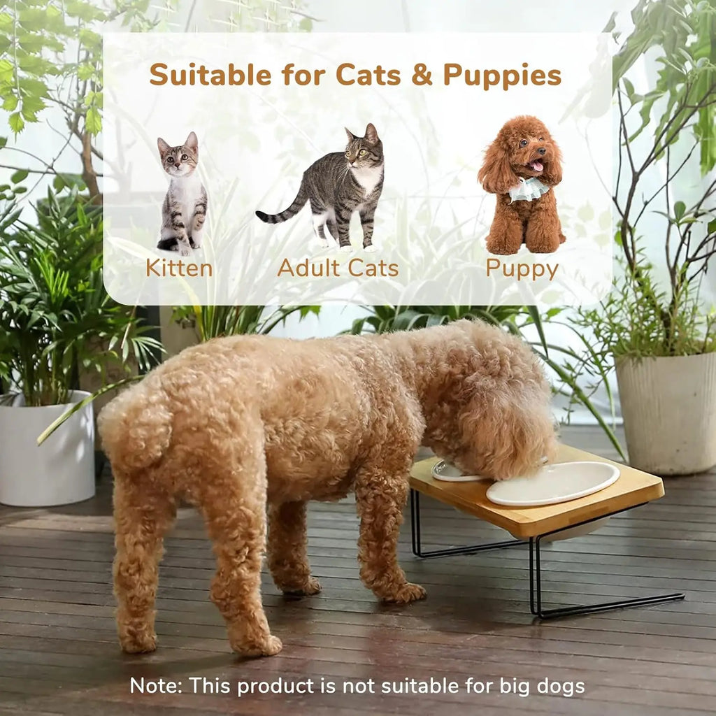 Elevated Cat Ceramic Bowls,15° Tilted Feeding Dishes, Solid Bamboo Water Stand