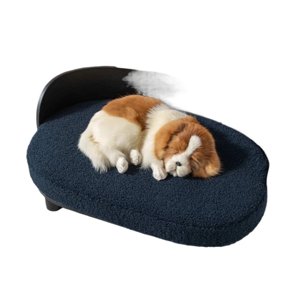 Elevated Dog Bed With Solid Wood legs and Bent Wood Back, Velvet Cushion, BLACK