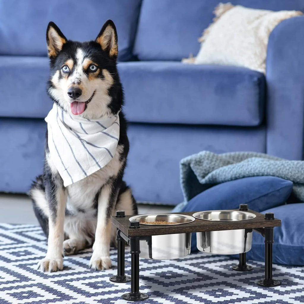 Raised Dog Bowl Stand for Large Dogs Durable
