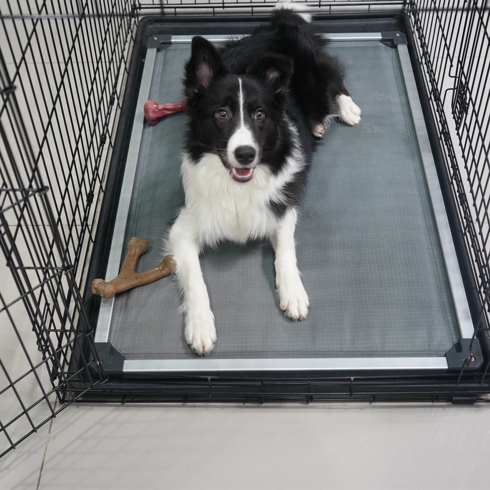 Padded Dog Bed for Crate, Elevated Cot for Indoor/Outdoor/Camping Use,