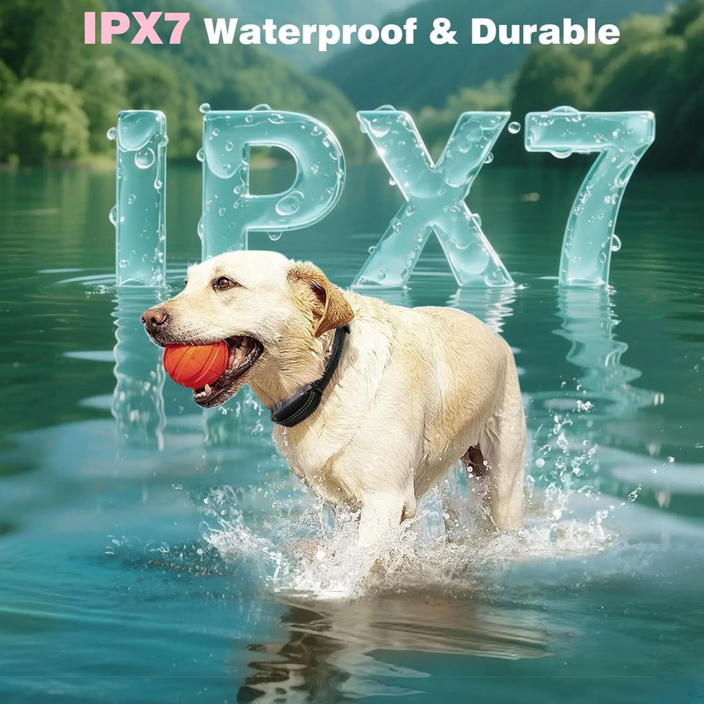 Dog Shock Collar & No-Pull Leash Set, Waterproof, 1600ft Range, Remote Recall