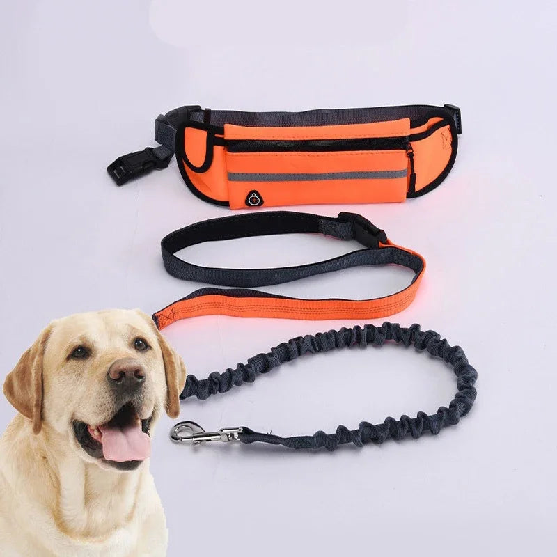 Hands Free Dog Leash Reflective with Waist Bag Retractable Elastic Belt Traction Rope