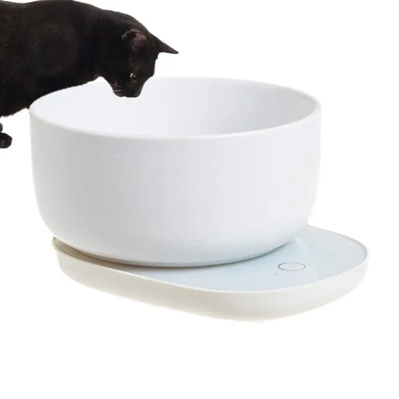 Dog Heating Water Bowl  Food Heater With Low Noise