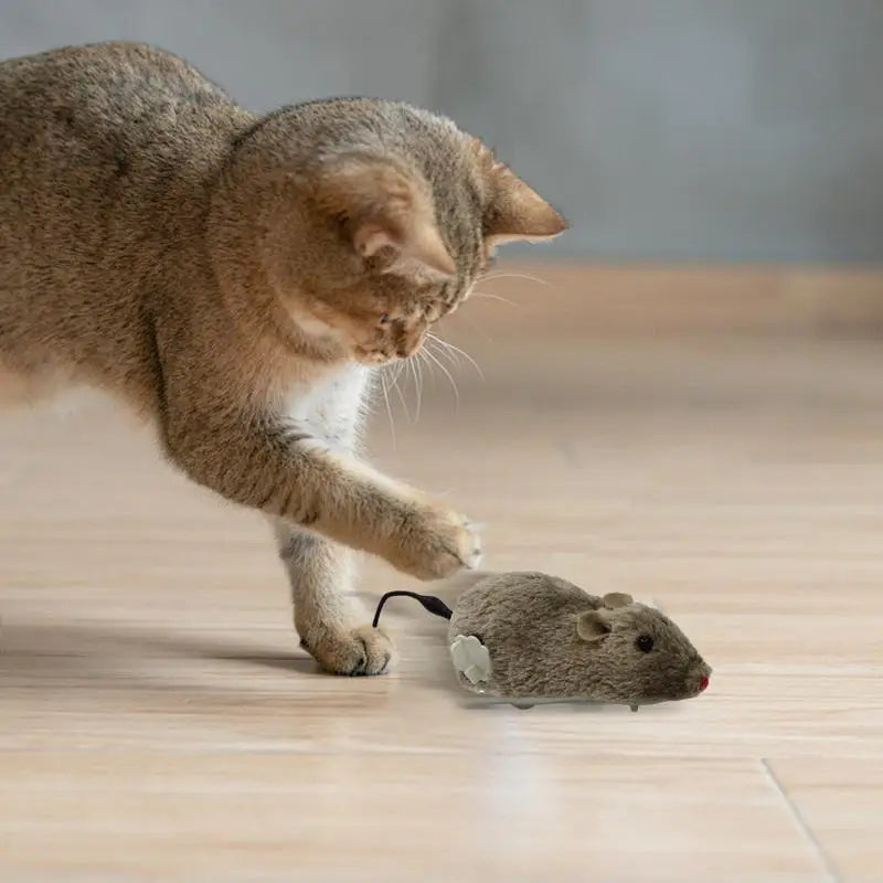 1pcs Fun Mouse Toy and Interactive Plush Wind-Up for Cats Dogs and Kids Mechanical Moving