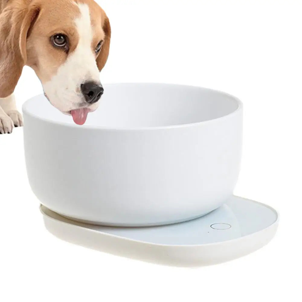 Dog Heating Water Bowl  Food Heater With Low Noise