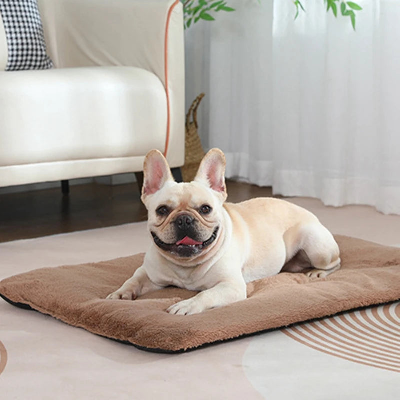Dog Bed Short Plush Pet Heated Sleeping Mat