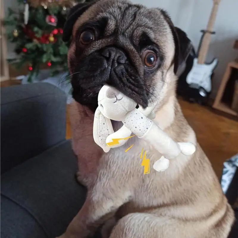 Pet Dog Toy Squeak Plush Toy Durable