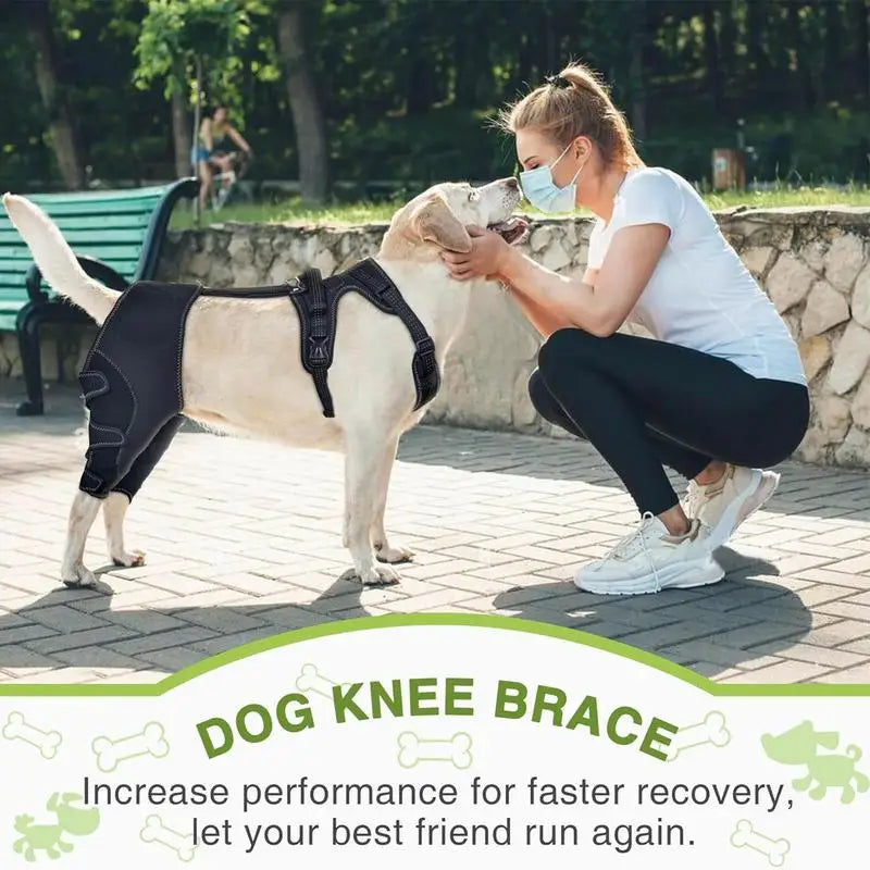 Orthopedic Brace For Dogs Hip Hock Support Adjustable Leg Support