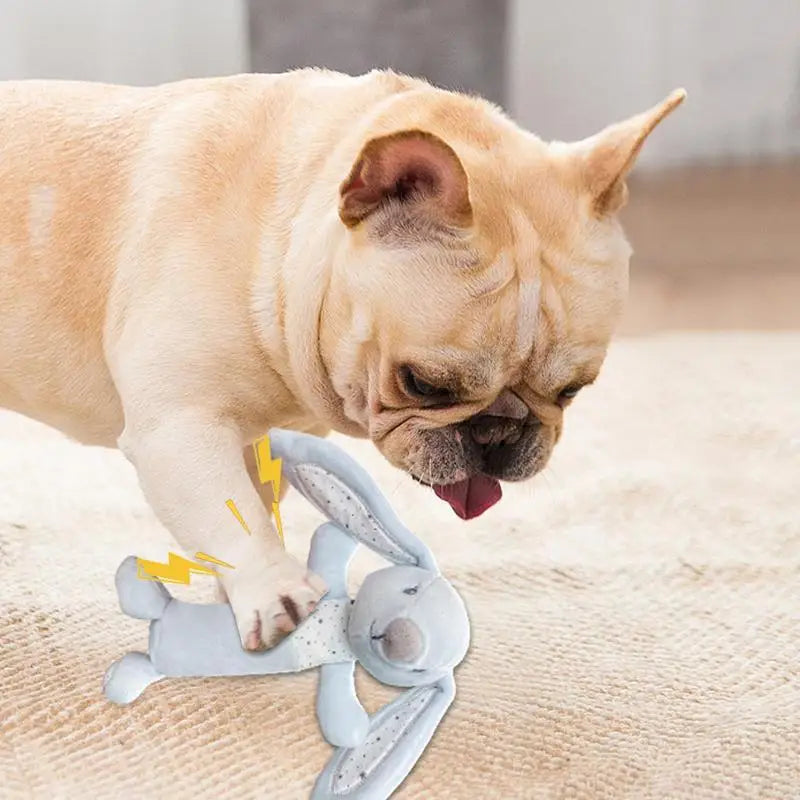 Pet Dog Toy Squeak Plush Toy Durable