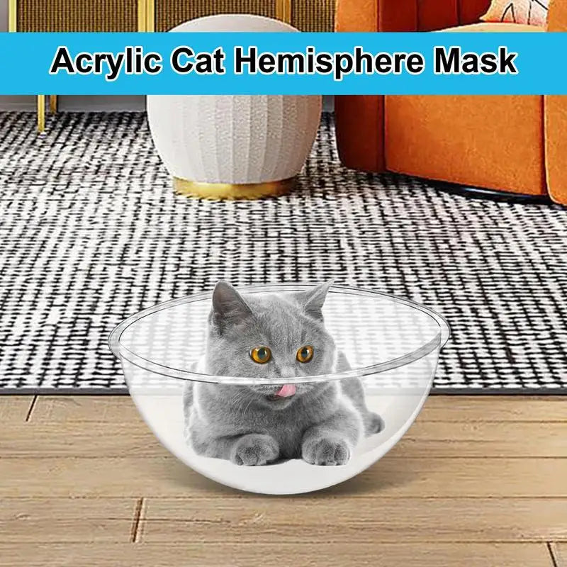 Space Capsule Cat Bed Nesting Transparent