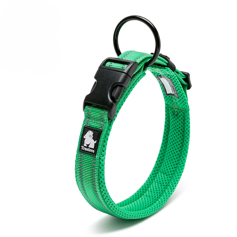 Dog Walking Collar, Padded with Buckle