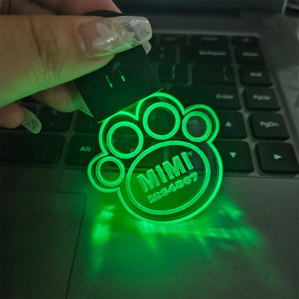 Custom Acrylic LED Dog Personalized Pet Name Laser Engraved Collar Tag Buckle