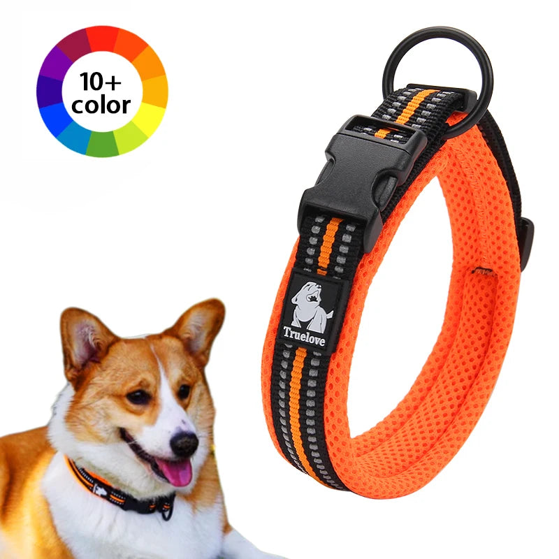 Dog Walking Collar, Padded with Buckle