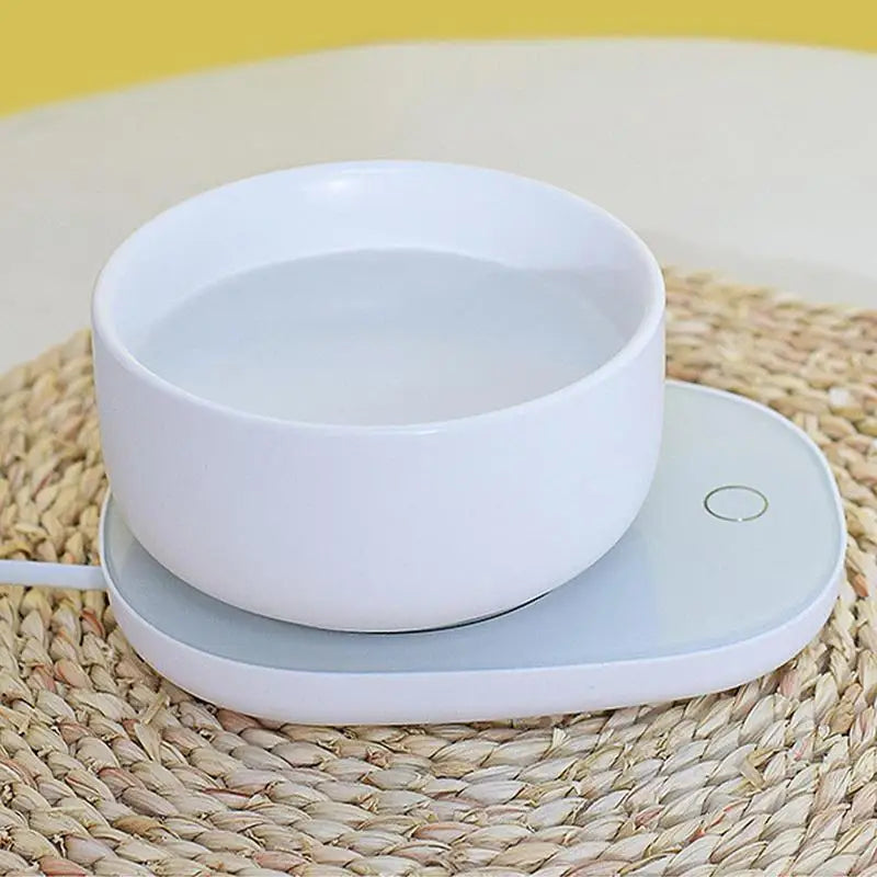 Dog Heating Water Bowl  Food Heater With Low Noise