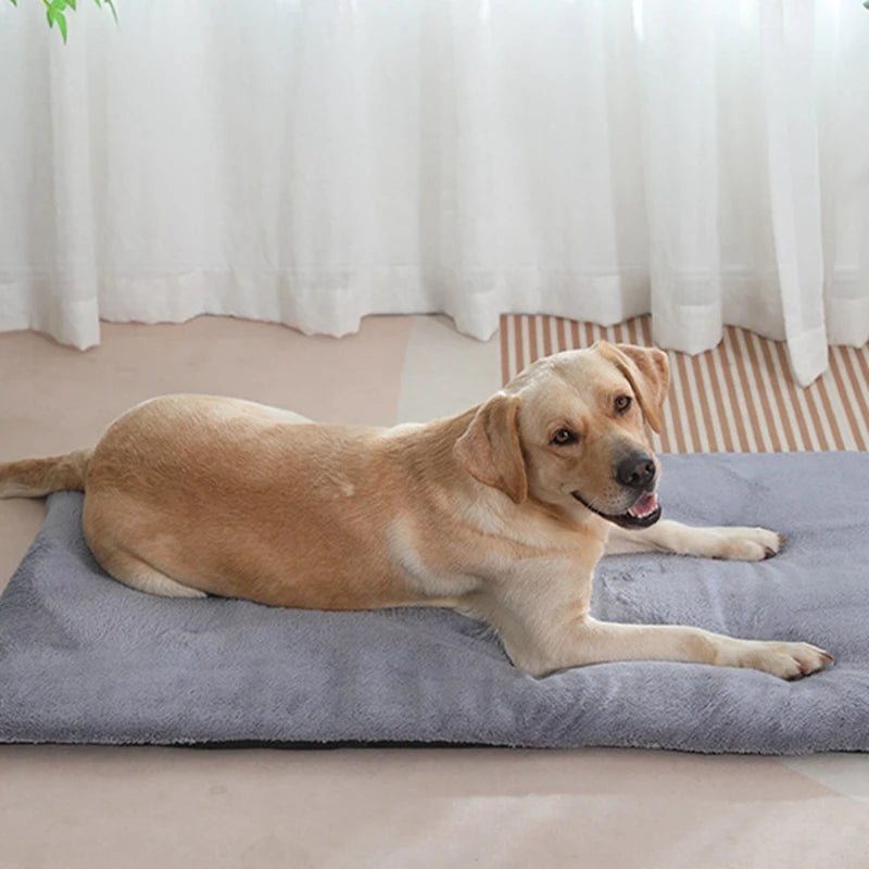 Dog Bed Short Plush Pet Heated Sleeping Mat