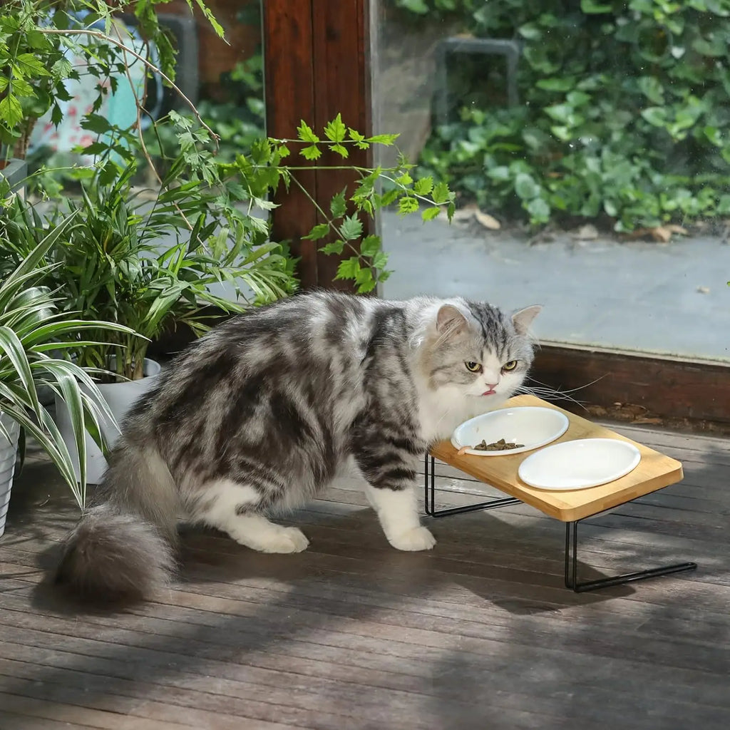 Elevated Cat Ceramic Bowls,15° Tilted Feeding Dishes, Solid Bamboo Water Stand
