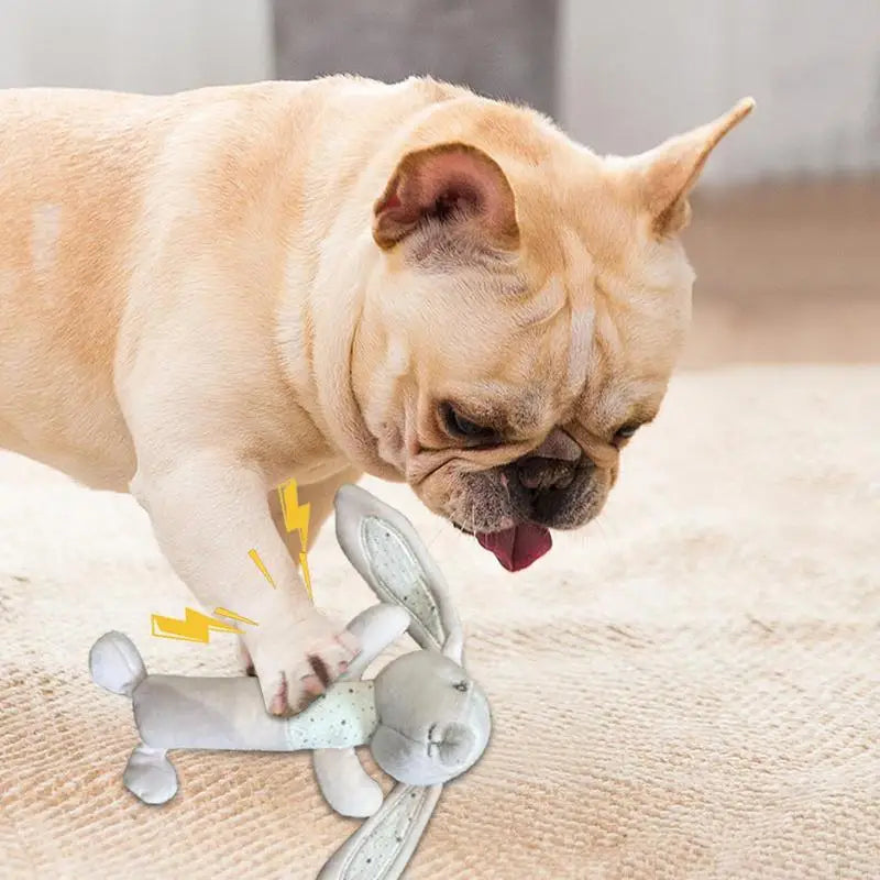 Pet Dog Toy Squeak Plush Toy Durable