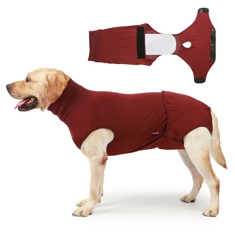 Recovery Suit for Dogs Cats After Surgery Abdominal Wounds Bandages Prevent Licking