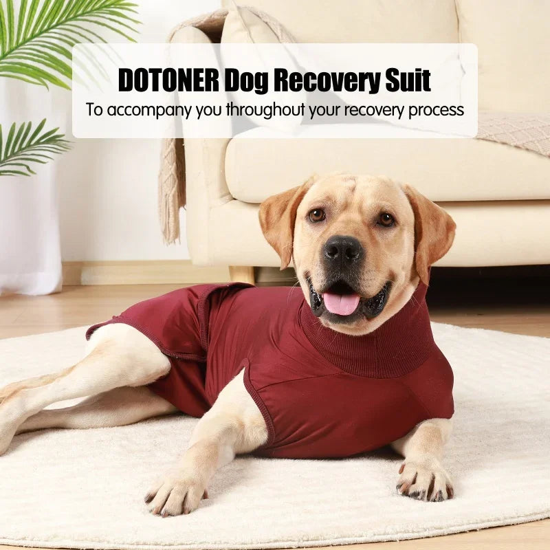 Recovery Suit for Dogs Cats After Surgery Abdominal Wounds Bandages Prevent Licking