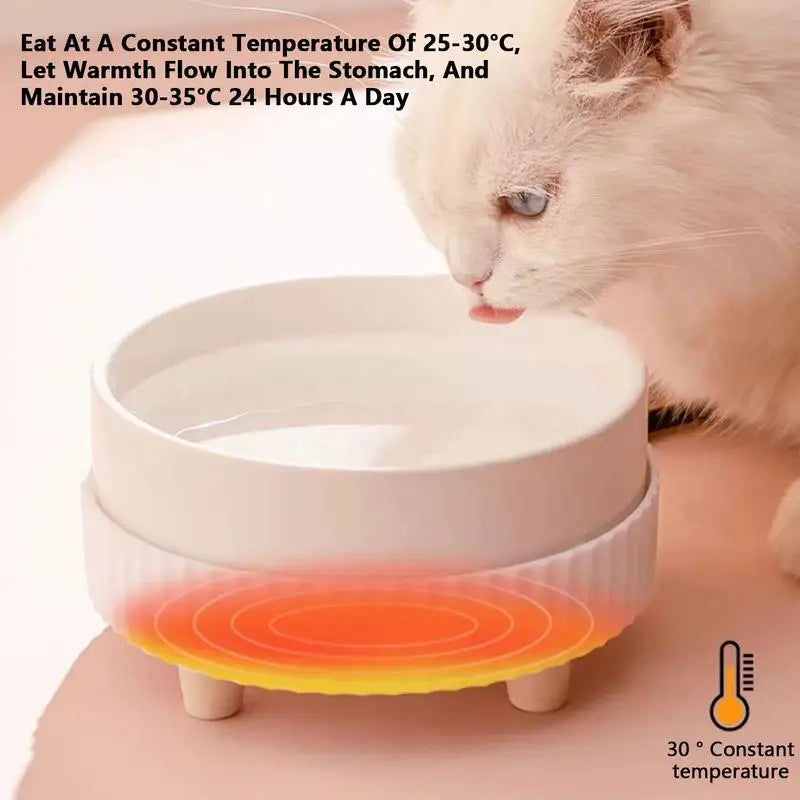 Heated Cat Bowl Rechargeable Ceramic