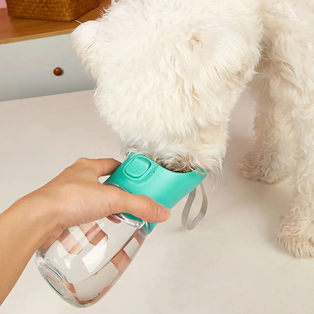 Portable Big Dog Water Bottle Outdoor Hiking Leakproof Drinking Bowls